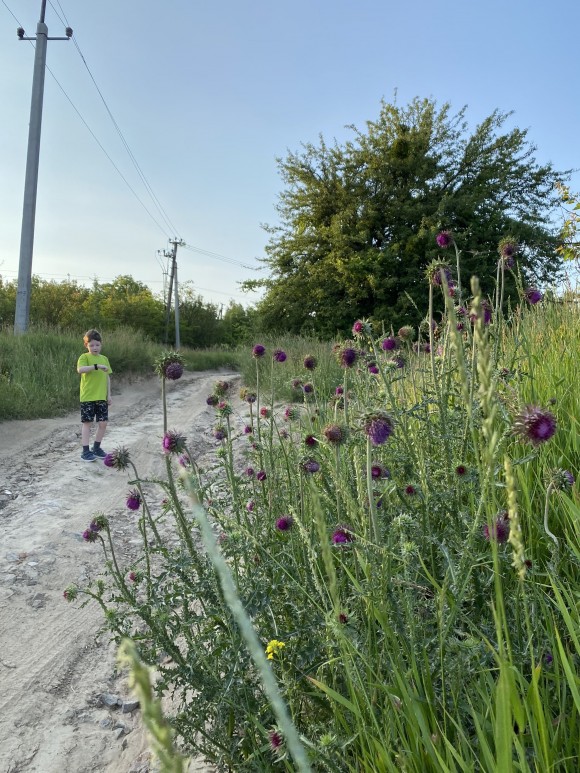 C11C7222-1142-427B-B91E-EF6D37F89E2A