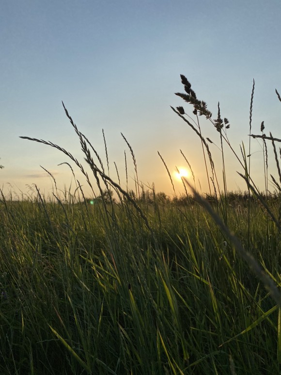 F1A28D2A-7BC6-4981-8390-223734BC2E48