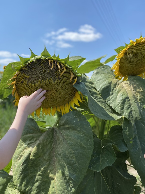 01881E80-A8AE-451E-B43D-5596441ED2C5