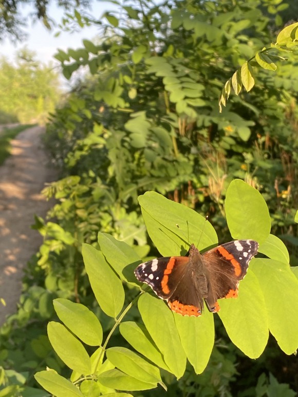 32C621D1-F42D-4A93-B632-266AA1226EDF