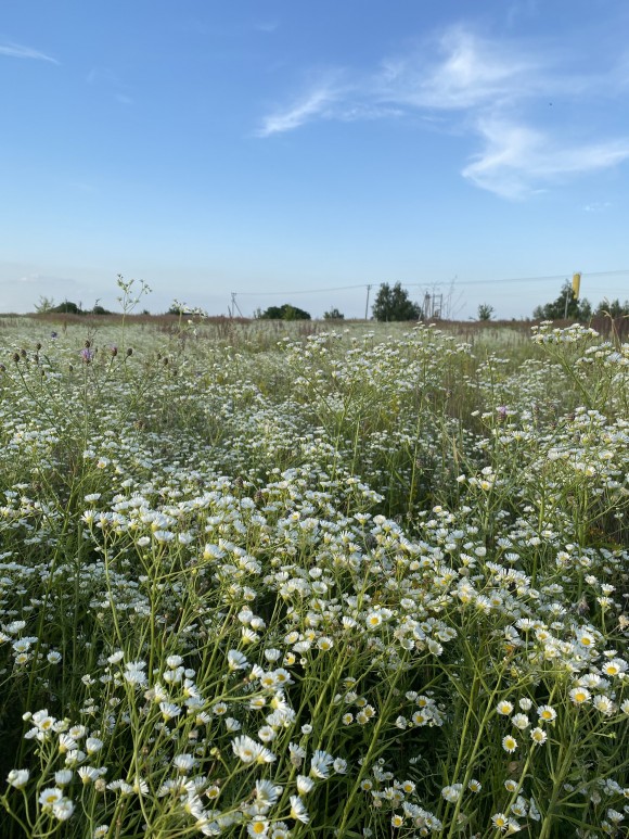 554DD41D-3A77-4F71-AC40-4FA81E7760AA