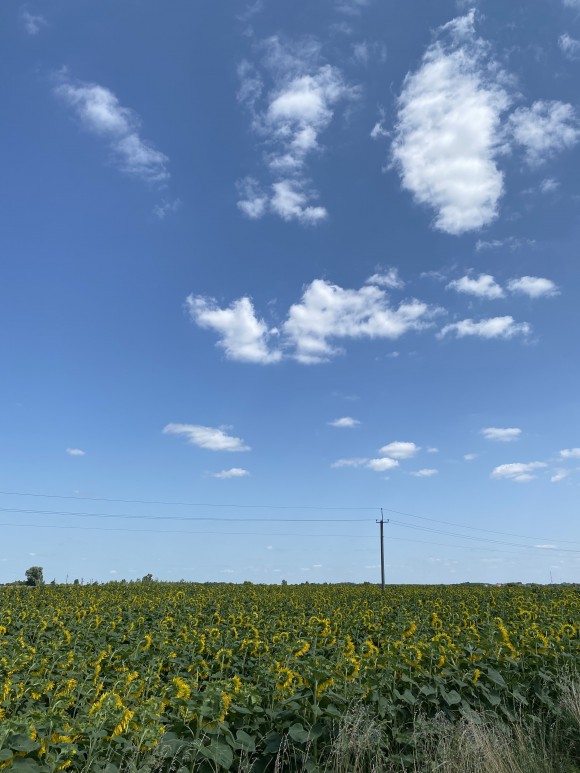 76A11353-187C-466A-A764-AA7855FD6036