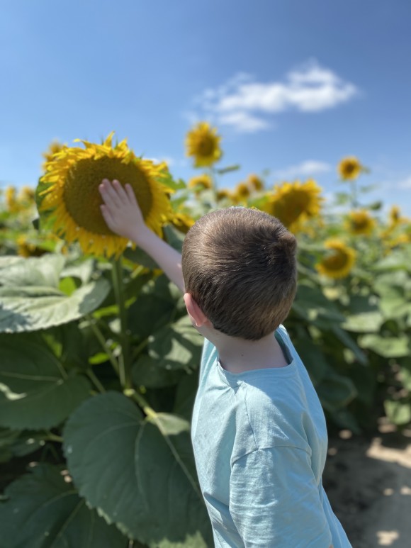 BA14B559-BC72-48D6-AE51-EB0C46D26E52