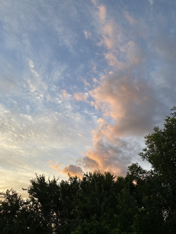 C5001132-E695-46A4-A1EB-A7C4EFFB66A8