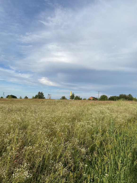 EB36784E-34EA-4245-92C1-239B8BA4067A