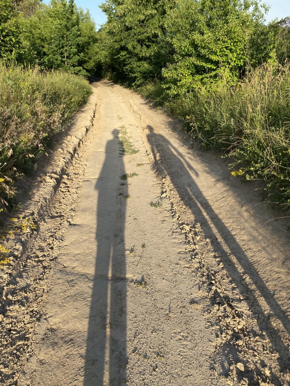 EE563190-74D4-4D9A-99AC-881DFC714344