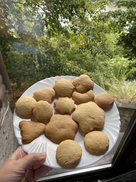 0B9ACB6C-7C89-4ADD-977D-4AA7D9233CD4