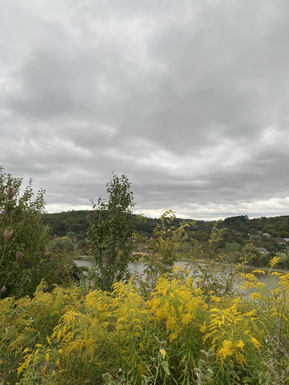 8062B0C5-782B-4736-862B-4079930478C7