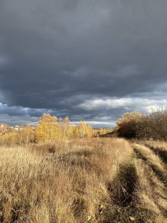 1E03D696-B5F5-421A-BABA-C076D2471E1D