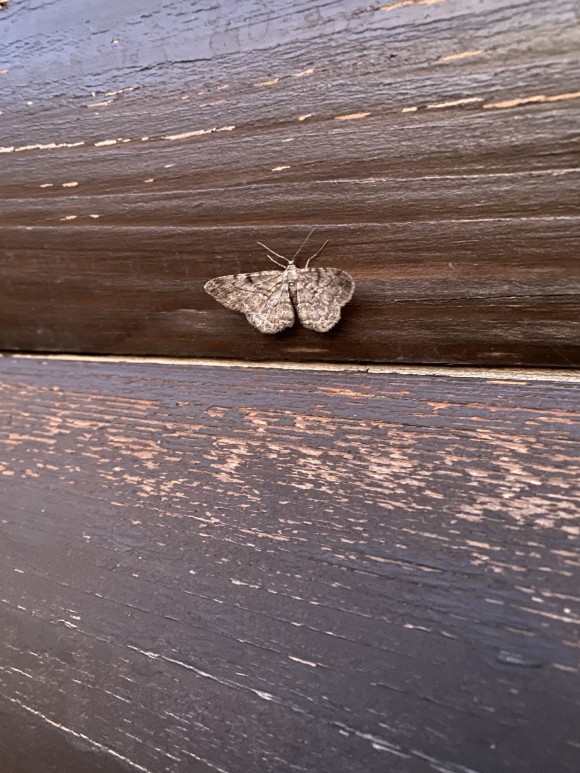 3DB0A3A7-BB56-4054-94E7-593808B90E5B