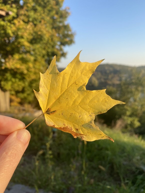 6409ED12-F554-41E0-ACF6-3274385CD3B8