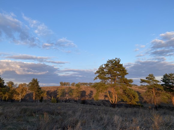 6839CC8C-CCA3-44D3-9786-8237BE2A8814