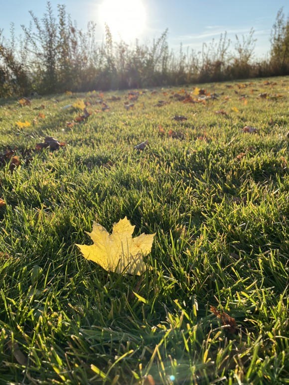 7C615049-E3F7-4A72-9559-B592BC9D0AF1