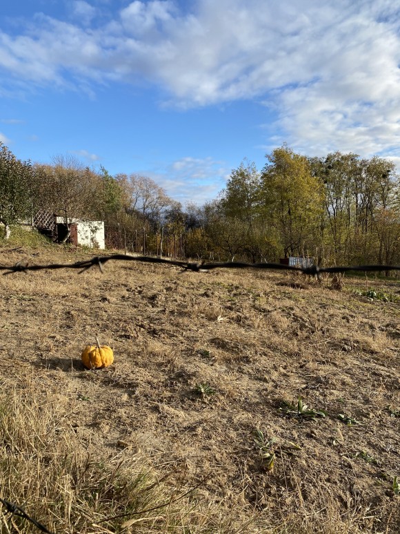 807FA5D6-FB81-4C0C-BFC4-8AE2F1DA6DBC