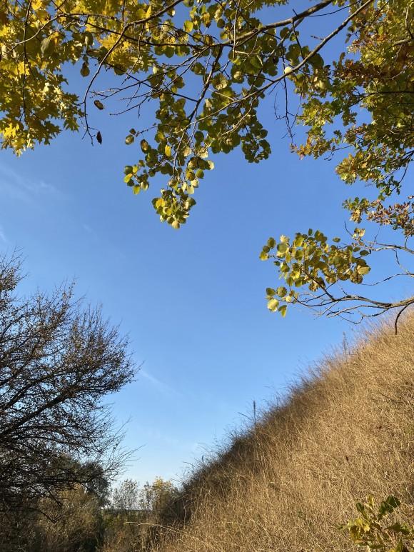 8261E46D-A9C3-487D-AF9F-061C4FB2E0D7