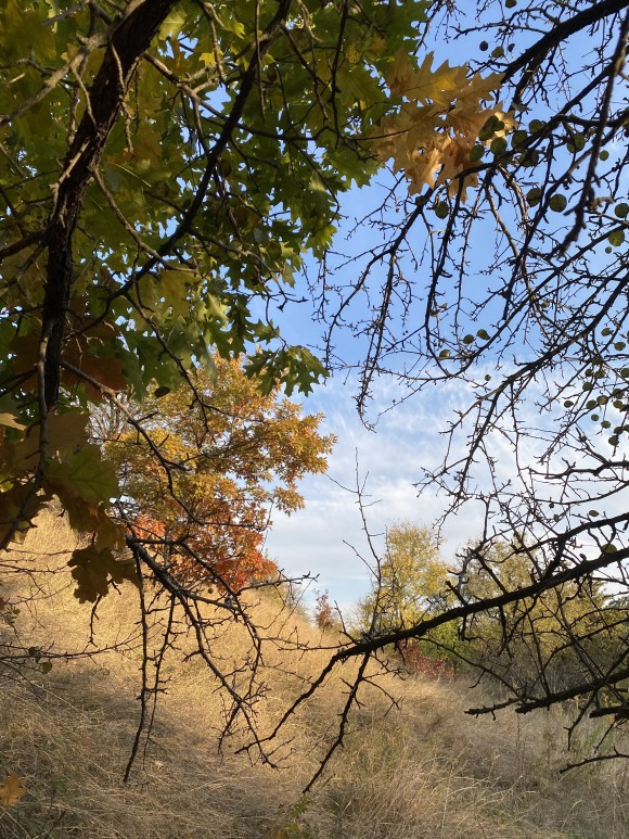 832DE346-4FCB-4F21-A567-4903DEC6285A