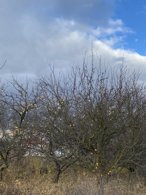 9A914031-E61C-46AC-8D9B-C329A29C26E8