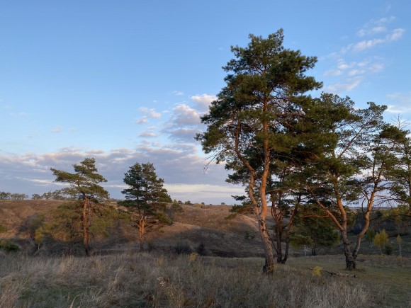 A63BA0FC-65CD-4BAA-AB11-E6E404B5A8E9