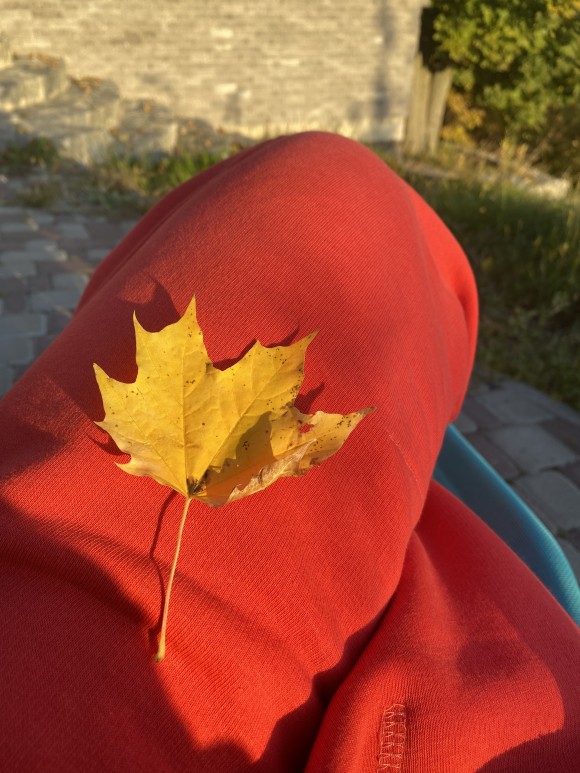 AF20AFB8-B82C-4CDA-A815-8777C8658DBD