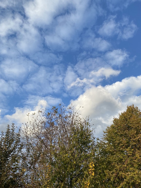 B70F0BF4-0E1B-4E21-8692-A6974ECDB4BC