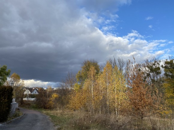 BBD2F26F-8340-4053-893A-7C59247F21D4