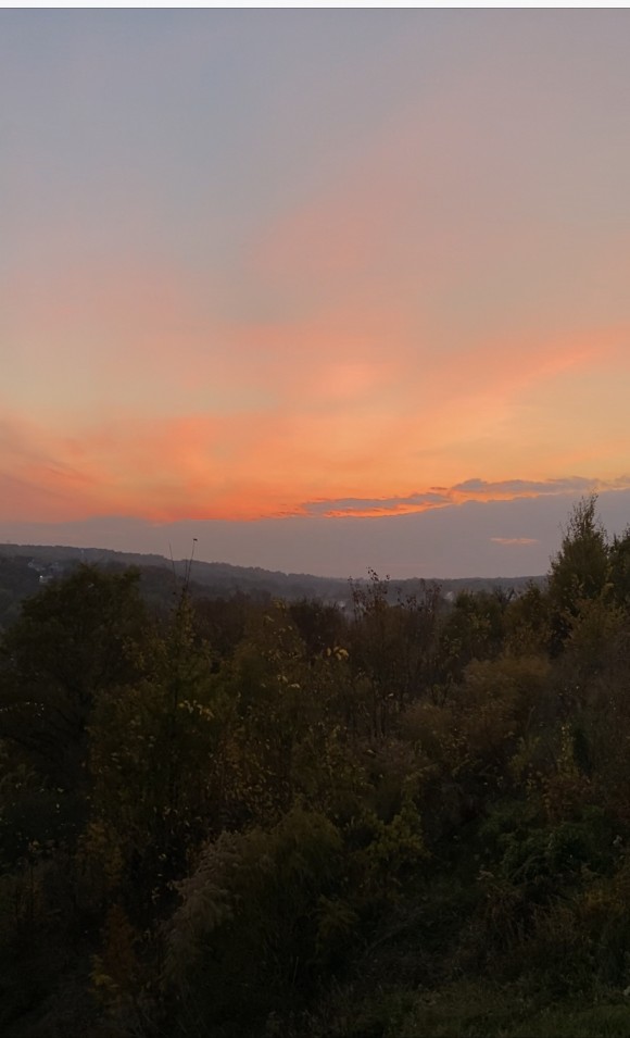 BC9894F3-32B9-4C12-ADD1-8F8A154D44D5