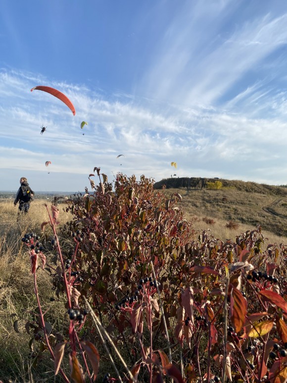 C73674DF-9646-4464-8E90-8FF551F31824