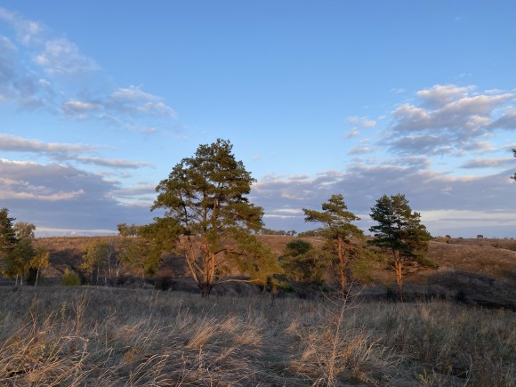 DA817C70-BAF5-4805-9B63-F675B82E060E