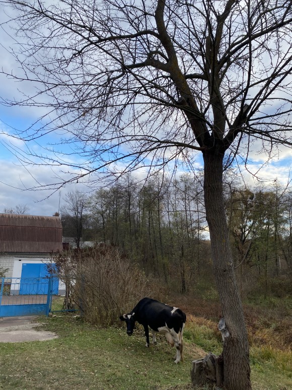 DBC566CC-F7D9-4A14-BC1A-B20ADD1B14B2