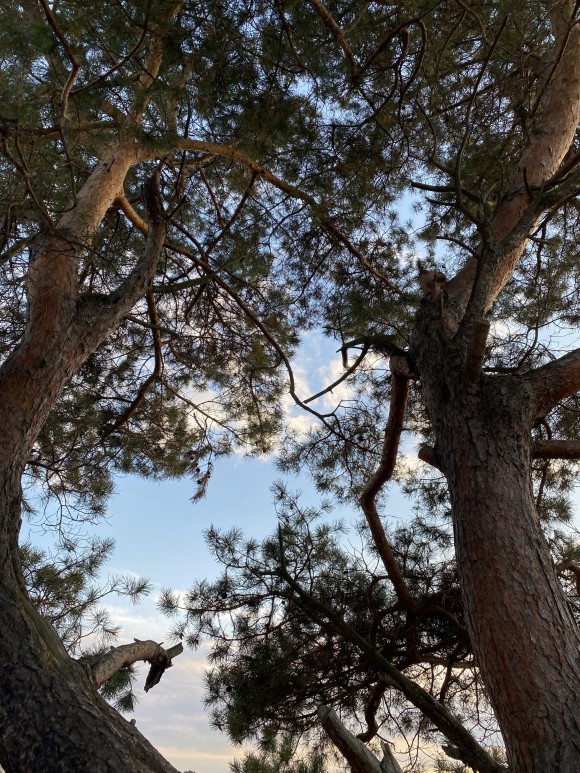 E1D67F22-221E-40FE-AD80-56E4CC2902E7