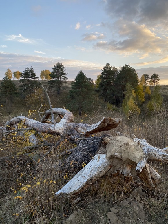 E4192523-EAAF-4EF1-B33B-DF65641A5190