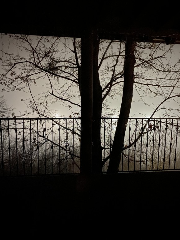 E5B03DF7-AD7F-46CB-A11A-80F75A007E49