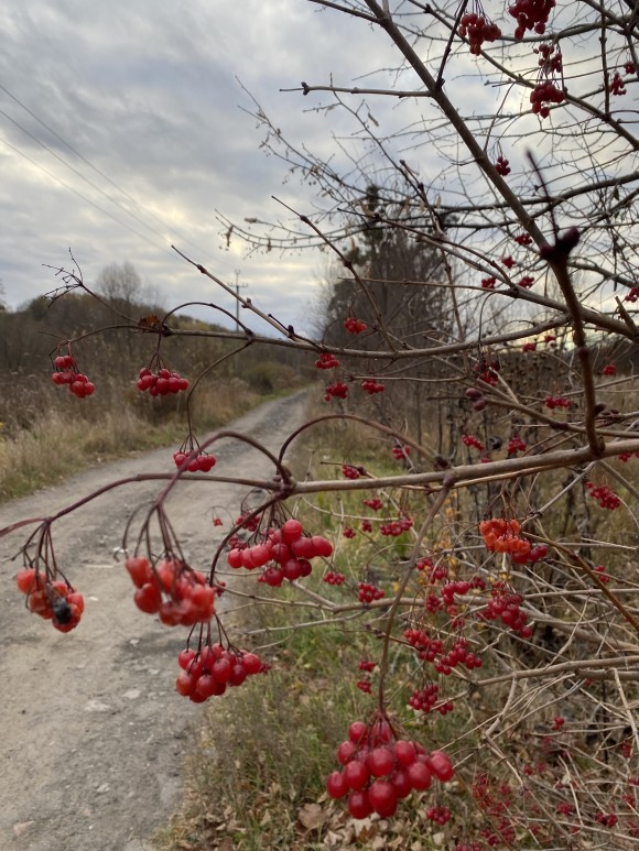 ED795946-DE71-4978-BF4C-F50A608FE73B