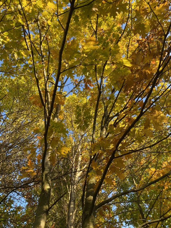 EDD25CE8-6FDA-4F45-8BEB-50E96FC3B9B6