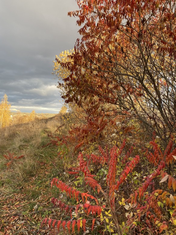 F64FD8D7-4F96-467D-AF39-1CB7D60F6816