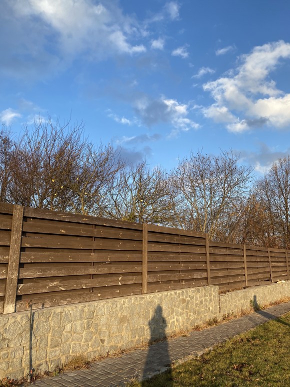 1DD80915-BEC1-466A-B135-A95D3DCDE1C3