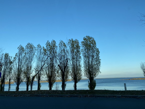 9601CD5E-370F-4F4C-B8F3-66638127A96E