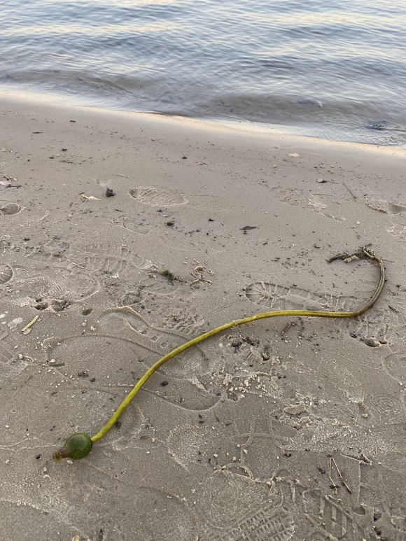 E8B1DE3F-A629-4D35-9438-FA90EDAC3F23