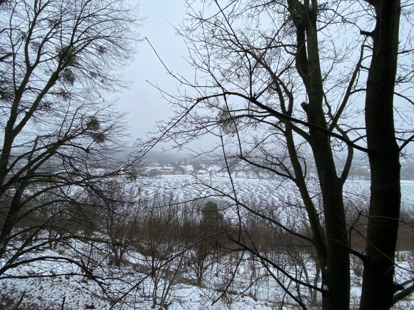 08FB0CF3-0530-4D42-8753-840ADF596017