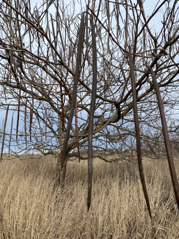 30B0BD49-6F73-4075-82B4-6D54D25E5542