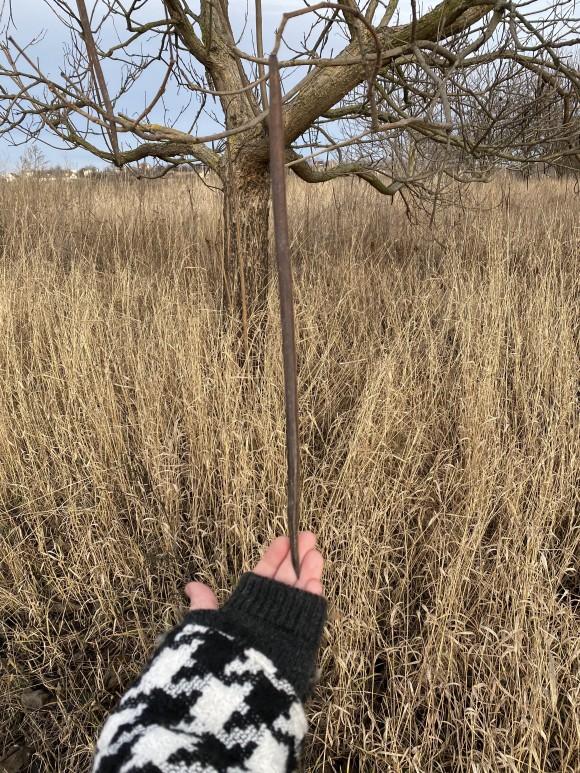 4358E84C-6B9D-4193-A646-7D8606A61FF6