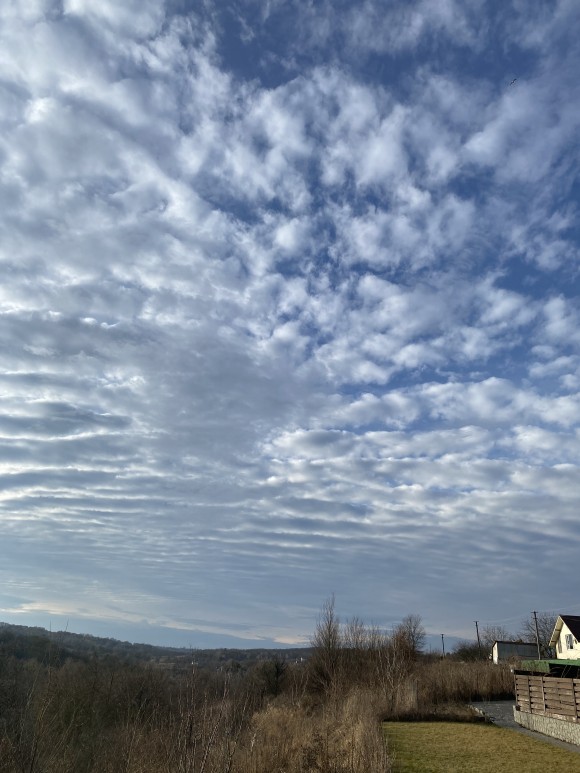 F84E74BB-46F5-49E1-82F1-AD24FB5E6A4C